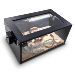 Complete Leopard Gecko Starter Kit