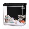 Craftsboys 4.5L Betta Fish Aquarium Kit