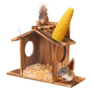 Creechwa Waterproof Squirrel Feeder