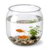 Decorative Mini Plastic Fish Bowl - 80 Oz