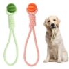 Durable 2-in-1 Dog Tug and Fetch Toy