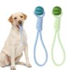 Durable 2-Pack Tug Toys for Dogs