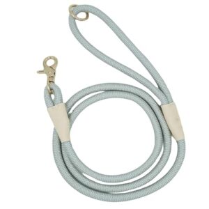 Durable 5FT Nylon Braided Dog Leash