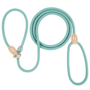 Durable Adjustable Dog Slip Lead 1.8m