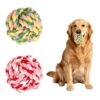 Durable Colorful Dog Chew Balls - 2 Pack