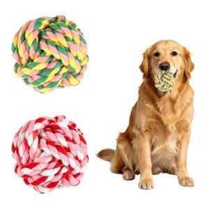 Durable Colorful Dog Chew Balls - 2 Pack