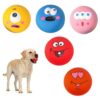 Durable Interactive Squeaky Dog Balls Set
