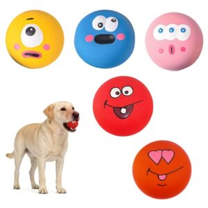 Durable Interactive Squeaky Dog Balls Set
