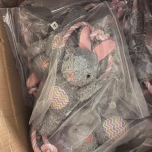 Durable Plush Squeaky Dog Toy for All Sizes