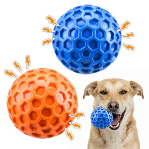 Durable Squeaky Dog Ball Toys - 2 Pack