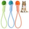 Durable Tug Toys for Engaging Dog Play