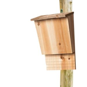 Eco-Friendly Bat House for Outdoors