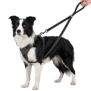 Ergonomic Double Ended Dog Lead