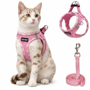 Escape Proof Cat Harness and Leash Set