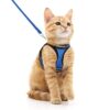 Escape Proof Cat Harness and Leash Set