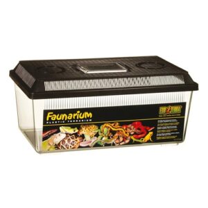 Exo Terra Medium Flat Faunarium