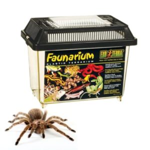 Exo Terra Small Faunarium for Reptiles
