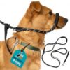 Figure 8 Anti Pull Dog Lead for Training