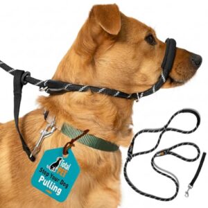 Figure 8 Anti Pull Dog Lead for Training