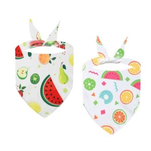 Fruits Print Dog Bandanas - Set of 2