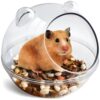 Hamster Sand Bath Container and Decor