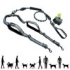 Hands-Free Double Dog Lead System