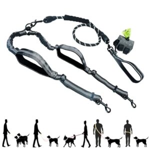 Hands-Free Double Dog Lead System