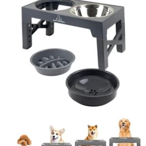 H&A Petcare 3-in-1 Elevated Dog Bowl