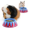 HAYPIGS Circus Theme Guinea Pig Bowl