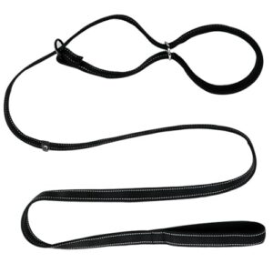 Heavy Duty Adjustable Dog Lead for Training