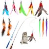 Hianjoo 12-Piece Cat Feather Teaser Set