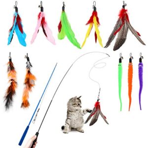 Hianjoo 12-Piece Cat Feather Teaser Set