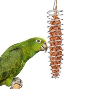Hypeety Bird Foraging Feeder for Parrots