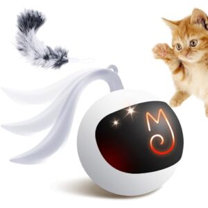 Interactive Cat Ball Toy with Accessories