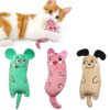Interactive Catnip Plush Teeth Cleaning Toys