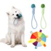 Interactive Dog Toys Set for Indoor & Outdoor