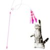 Interactive Feather Cat Wand Toy with Bell