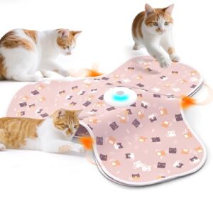 Interactive Hide and Seek Cat Toy