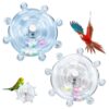 Interactive Spinning Wheel Toys for Birds