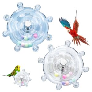 Interactive Spinning Wheel Toys for Birds