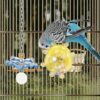 Interactive Windmill Roller Bird Toy Set