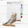 Large Bird Mirror Toy with Perch