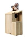Large Pine Squirrel Family Nesting House