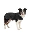 Larkson Waterproof Dog Coat for Small Dogs