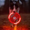 LED Rechargeable Dog Frisbee for Night Play