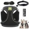 Lightweight Dog Harness and Leash Set