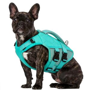 Lightweight Dog Life Jacket for Safety