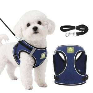 Lightweight Navy Dog Harness and Leash Set