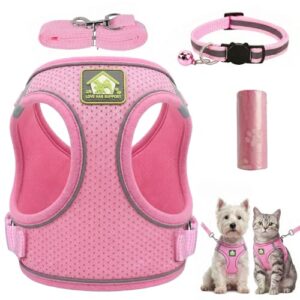 Lightweight Puppy Harness and Leash Set