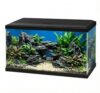 Love Aquatics 60L LED Glass Aquarium Kit